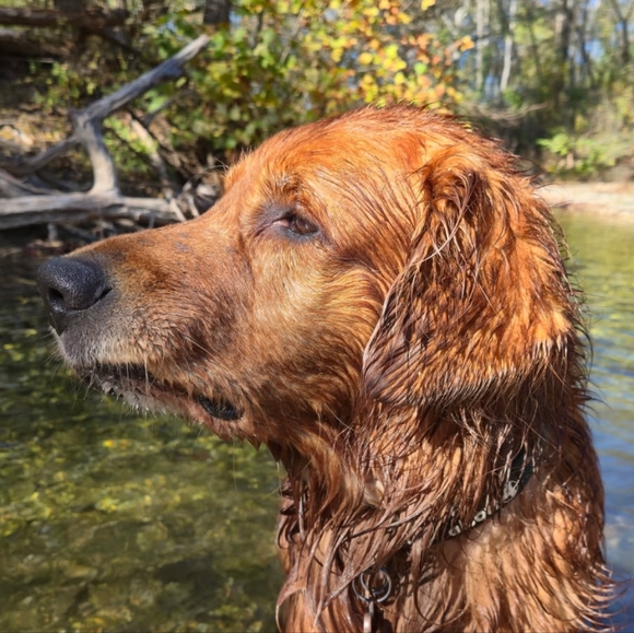 TAKE 50% Off EVERTHING! SEND ME BUNDLE! Like For Showtimes And Specials! - Picture 12 of 12